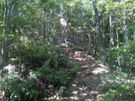 画像3
